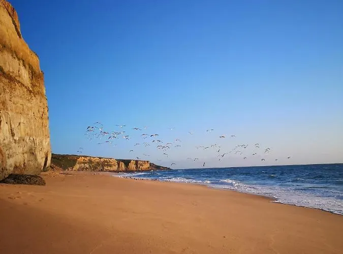 Yellow House 빌라 알데이아 두 메코